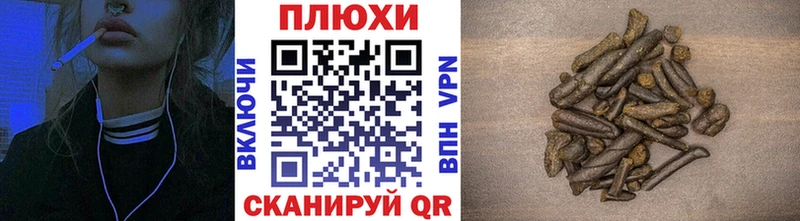 купить наркоту  Поворино  ГАШ hashish 