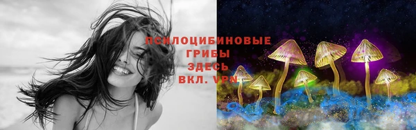спайс Абдулино