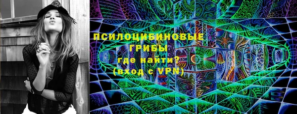 спиды Абаза