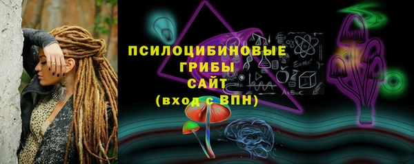 спиды Абаза